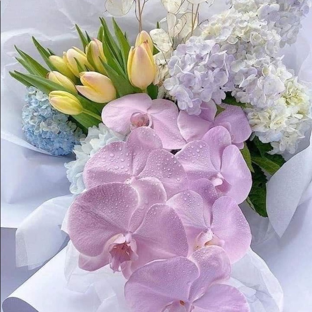 Meet your Posher, Mary